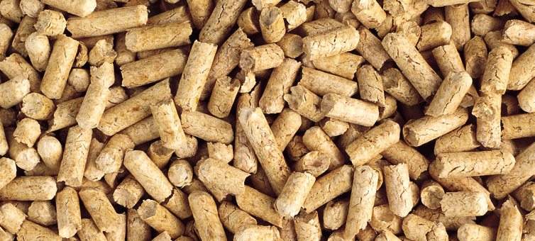 Le biomasse emettono gas serra? | Macchedil Online Store