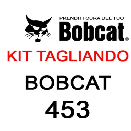 Kit filtri tagliando per minipale Bobcat 453 – Officina, Sollevamento e Ricambi