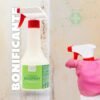 Italia Colorpaint Biospray Soluzione Bonificante Antimuffa Antialga – Cantieri e Costruzioni