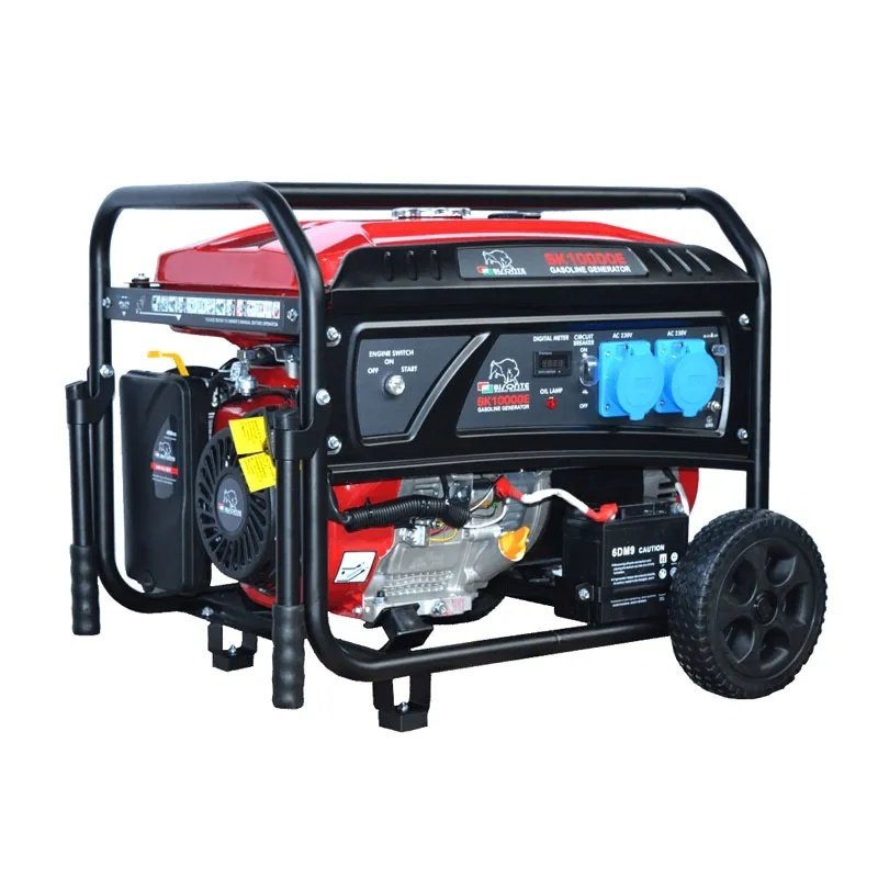 Generatore Bisonte SK10000E su ruote, vista laterale del pannello con doppia presa 230V