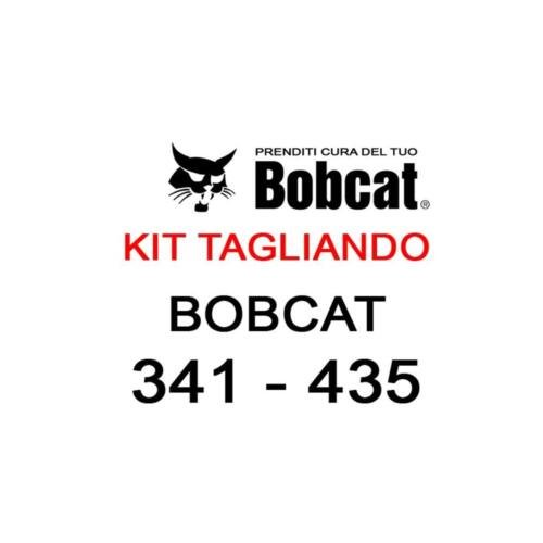 Kit filtri tagliando per miniescavatori Bobcat 341/435
