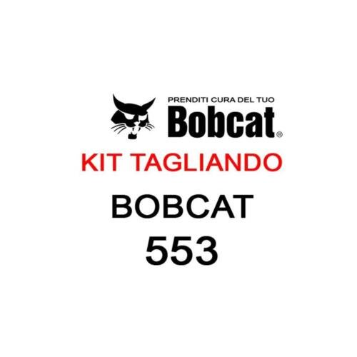 Kit filtri tagliando per minipale Bobcat 553
