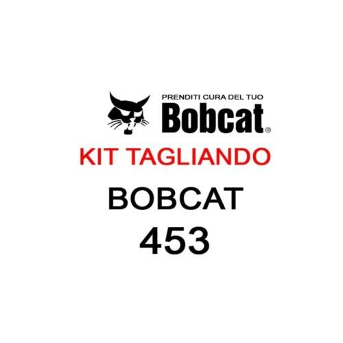Kit filtri tagliando per minipale Bobcat 453